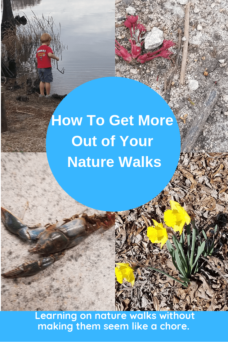 nature walk pinterest