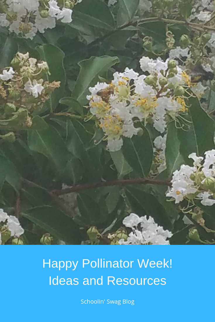 Pollinator Week Pinterst