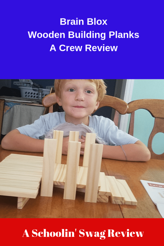 Brain Blox Wooden Planks Pinterest