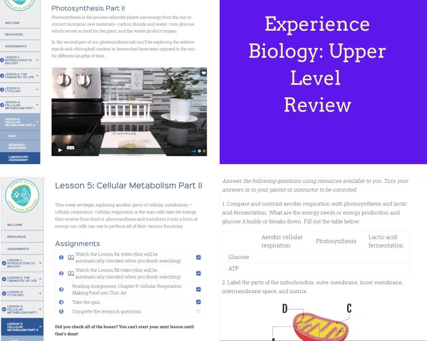 Experience Biology Upper Level Review photo